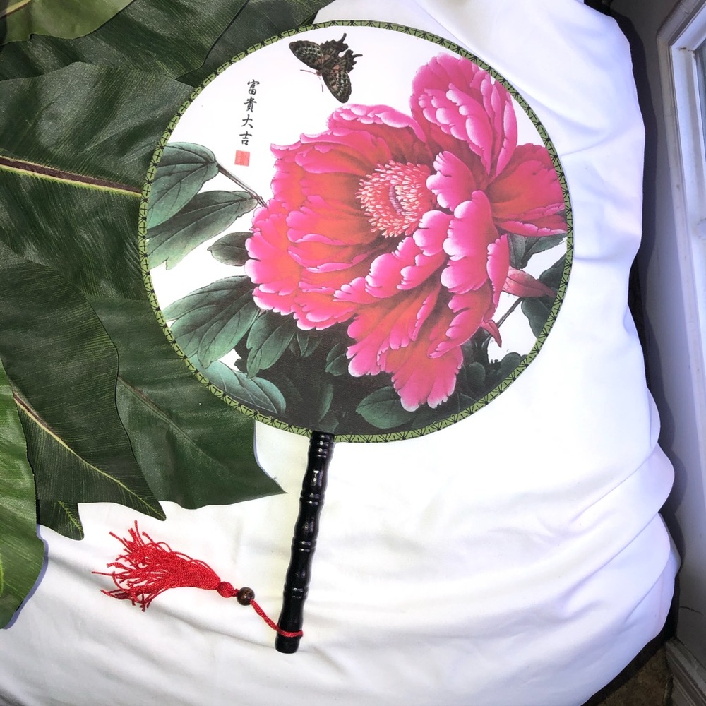 Beautiful Hand Fan